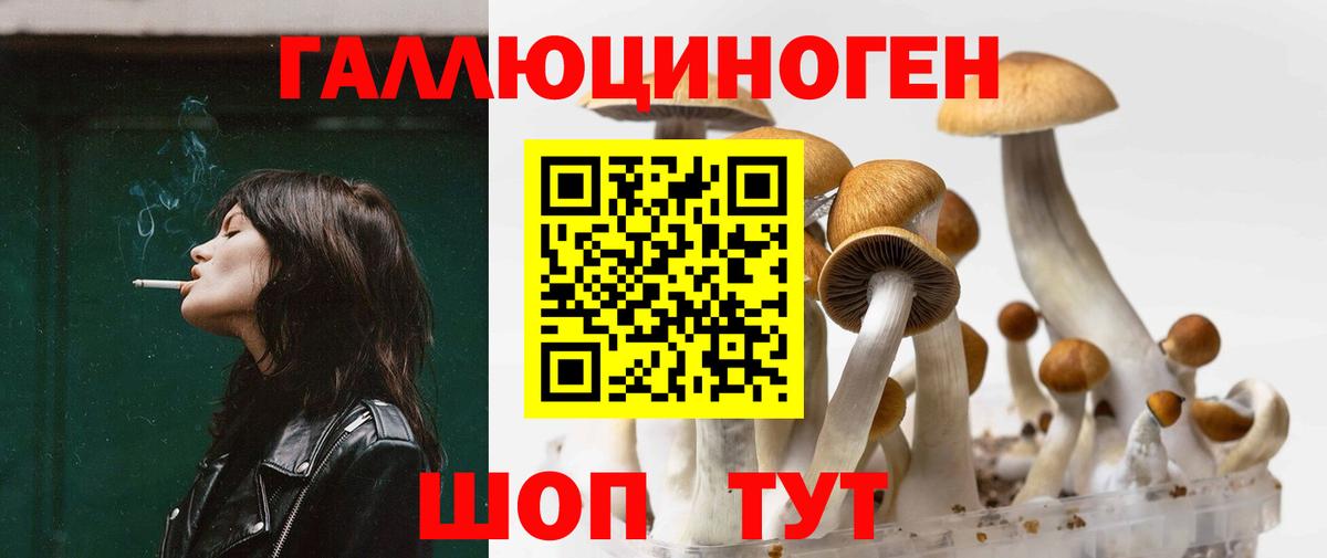 Сосновый Бор  Галлюциногенные грибы MAGIC MUSHROOMS  Вход с VPN 